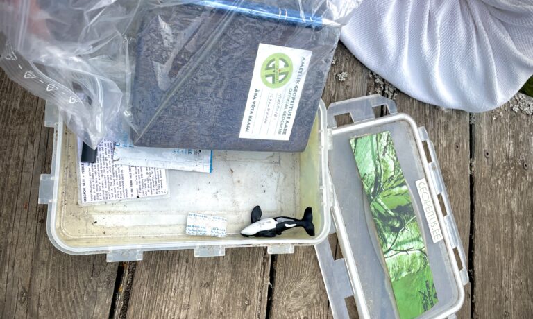 Geopeitus ehk geocaching