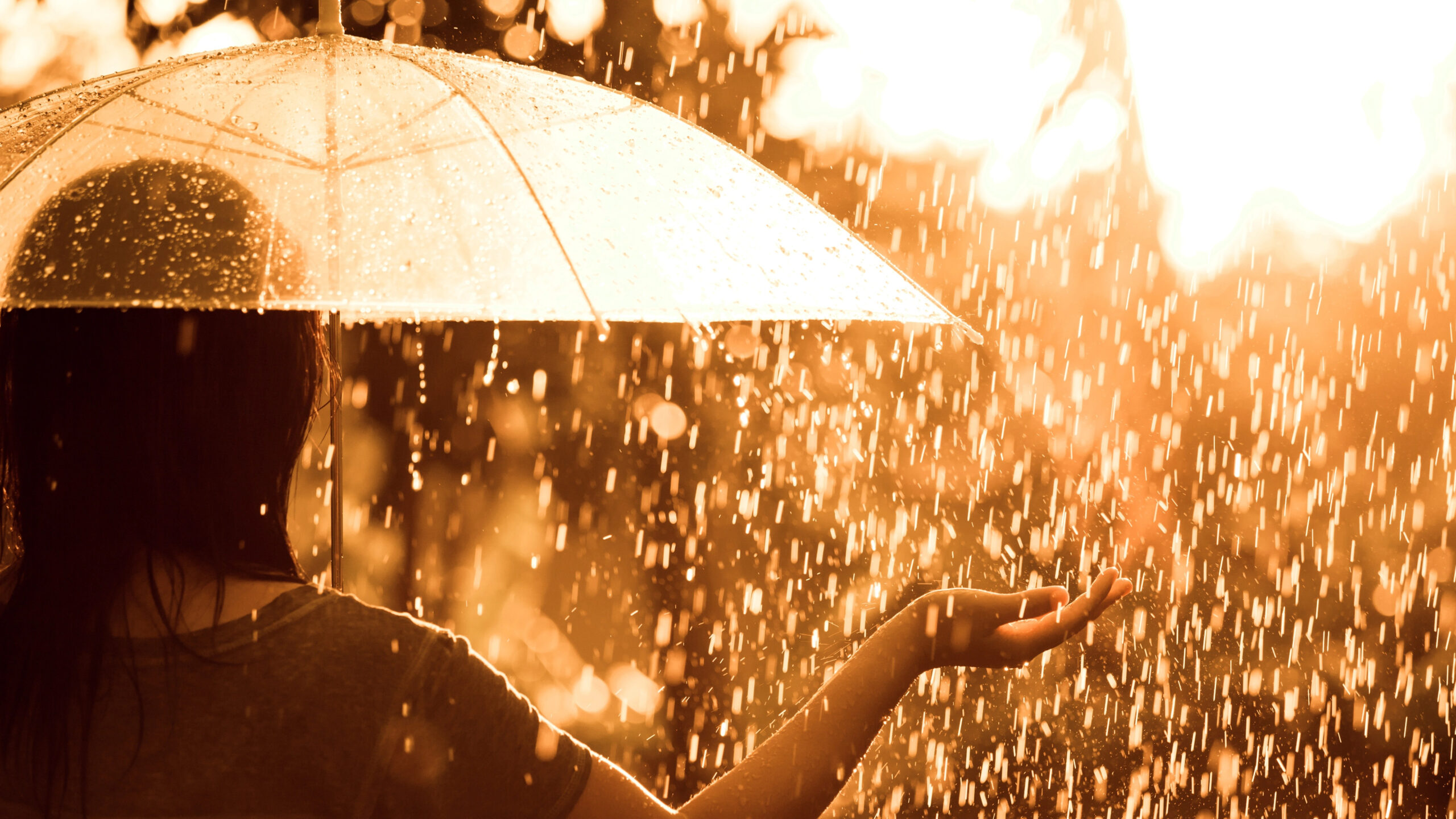 Naudi vihma. Neiu päikeselises vihmas vihmavarjuga